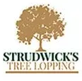 Strudwick Tree Lopping